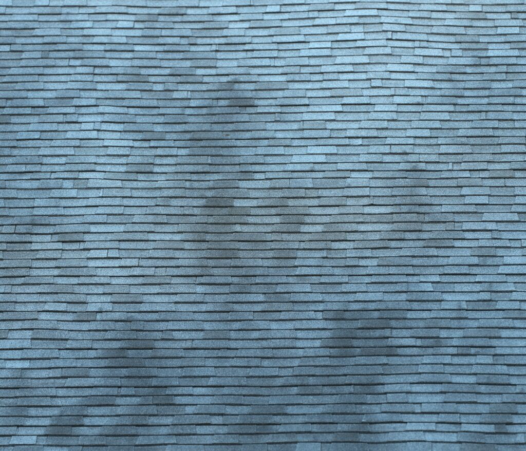 shingle roof with blue and blackmold