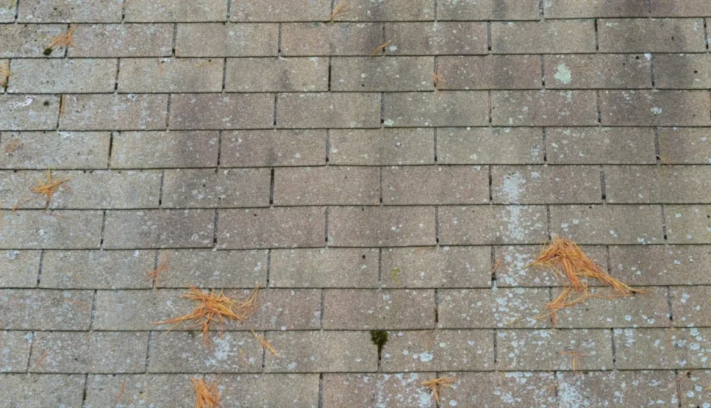 Neglecting Roof Maintenance