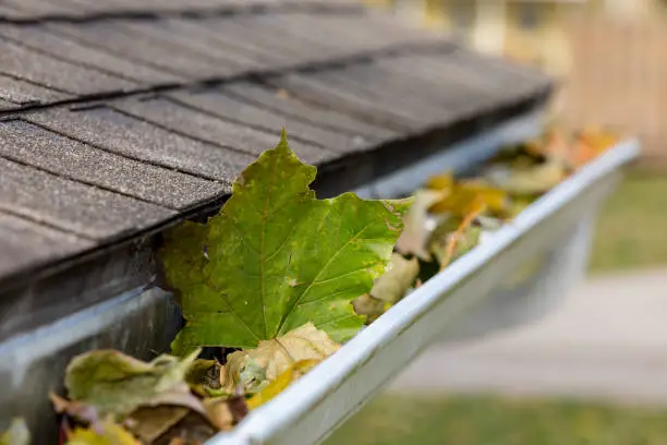 Clogged rain gutter filled with autumn leaves and debris near a roof edge